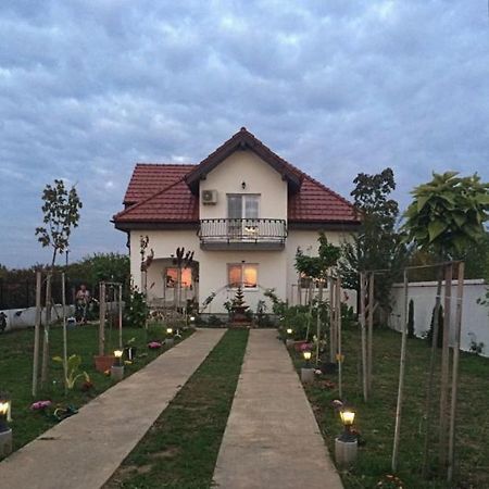 Blue Sky House 호텔 발로테슈티 외부 사진
