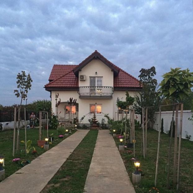 Blue Sky House 호텔 발로테슈티 외부 사진